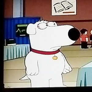 Meet your Posher, Sergio